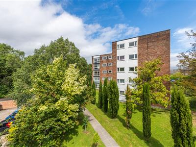 Picture 19